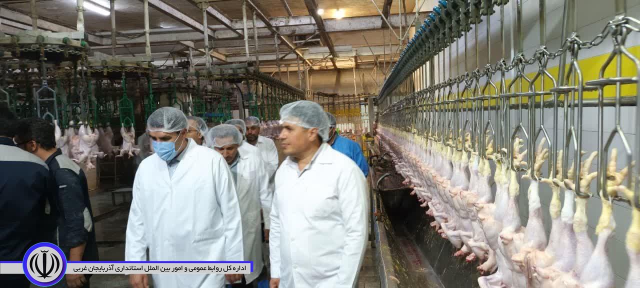 بازدید شبانه محمد نوبخت فرماندار شهرستان نقده از واحد تولیدی مرغ خوش پخت