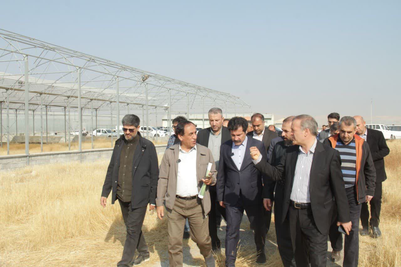 بازدید از شهرک گلخانهای خلیفهلو و تأکید بر بازنگری در فازبندی این مجموعه