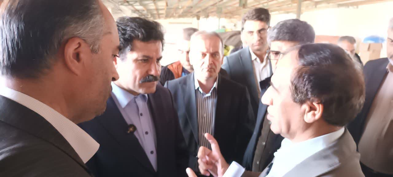 بازدید از شهرک گلخانهای خلیفهلو و تأکید بر بازنگری در فازبندی این مجموعه