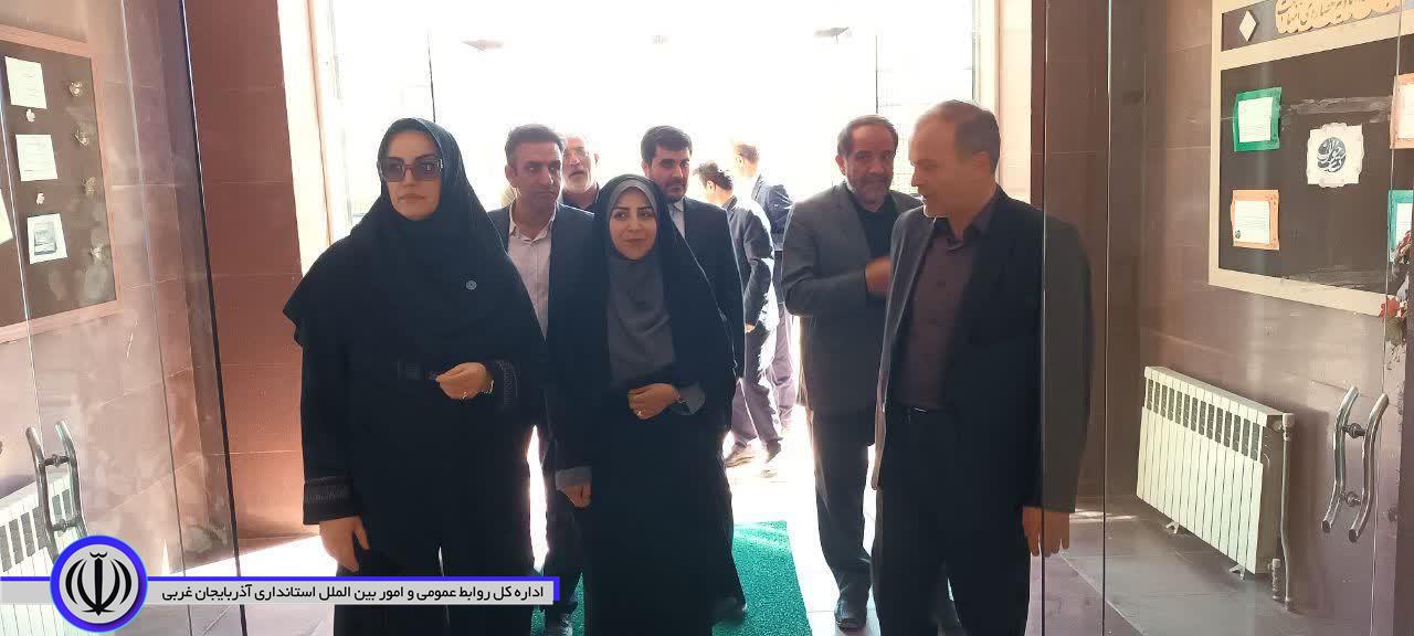 از رفع مشکلات زیرساختی تا توسعه سینمایی؛ محورهای بازدید دبیرکل نهاد کتابخانهها از نقده