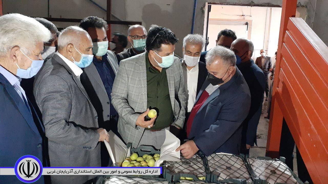 بازدید میدانی معاون وزیر صنعت، معدن و تجارت، رئیس هیت مدیره و مدیر عامل سازمان حمایت از مصرف کنندگان و تولیدکنندگان از مراکز نگهداری میوه در سردخانه های حوزه شهرستان نقده