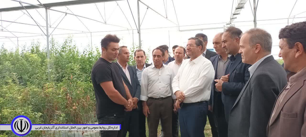 بازدید استاندار آذربایجانغربی از شهرک گلخانهای خلیفهلو