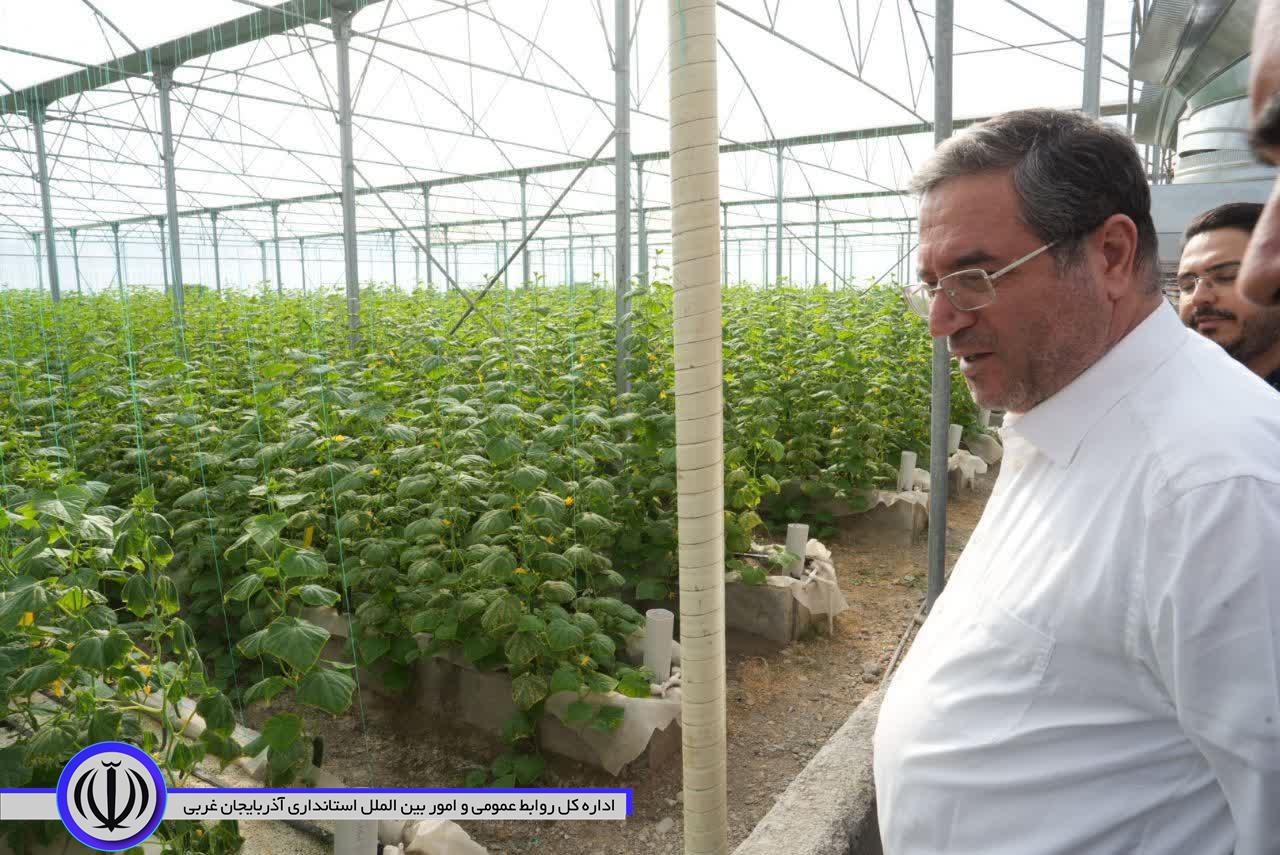 بازدید استاندار آذربایجانغربی از شهرک گلخانهای خلیفهلو