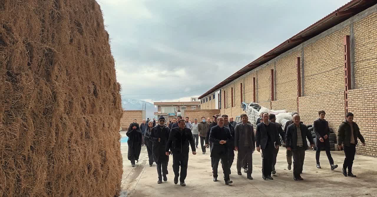 بهرهبرداری از واحد دامپروری پرورش گوسفند با حضور فرماندار شهرستان نقده