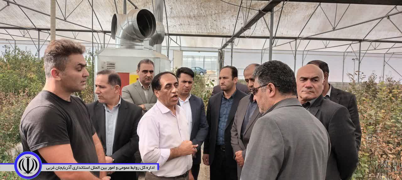 توسعه شهرکهای کشاورزی؛ راهکاری پایدار در مقابله با کمآبی و ارتقای بهرهوری بخش کشاورزی