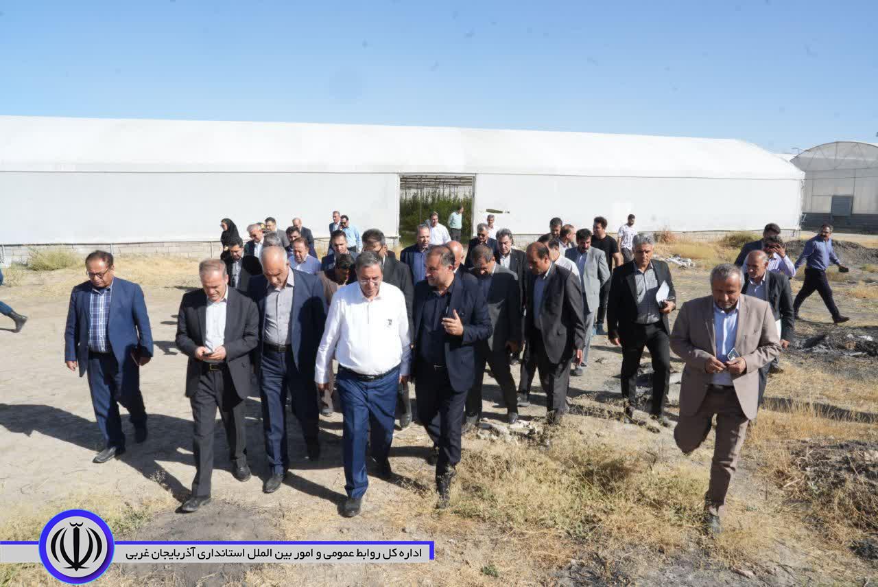 بازدید استاندار آذربایجانغربی از شهرک گلخانهای خلیفهلو