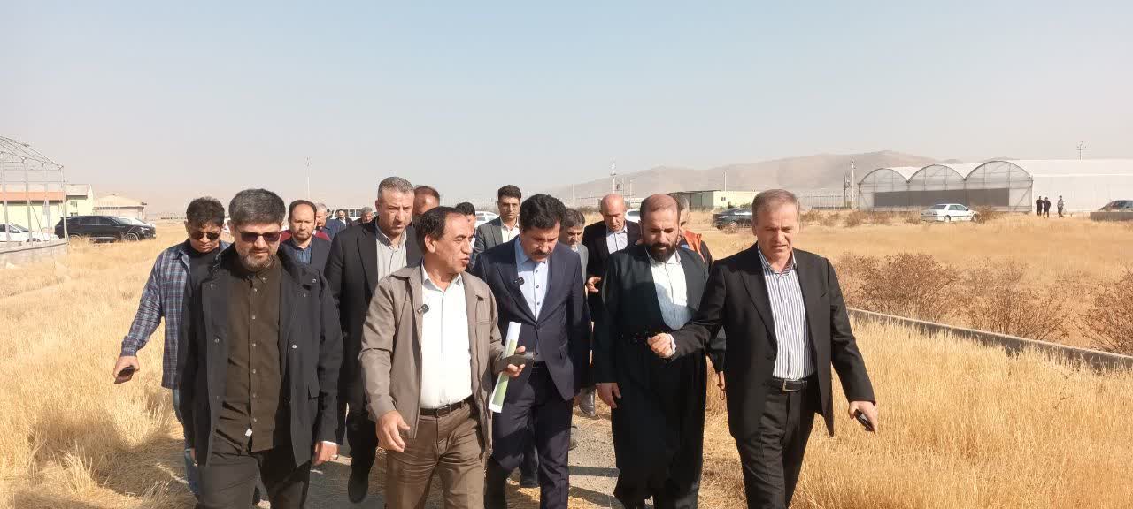 بازدید از شهرک گلخانهای خلیفهلو و تأکید بر بازنگری در فازبندی این مجموعه