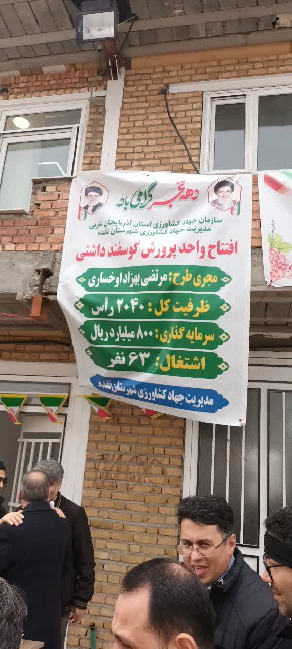 بهرهبرداری از واحد دامپروری پرورش گوسفند با حضور فرماندار شهرستان نقده