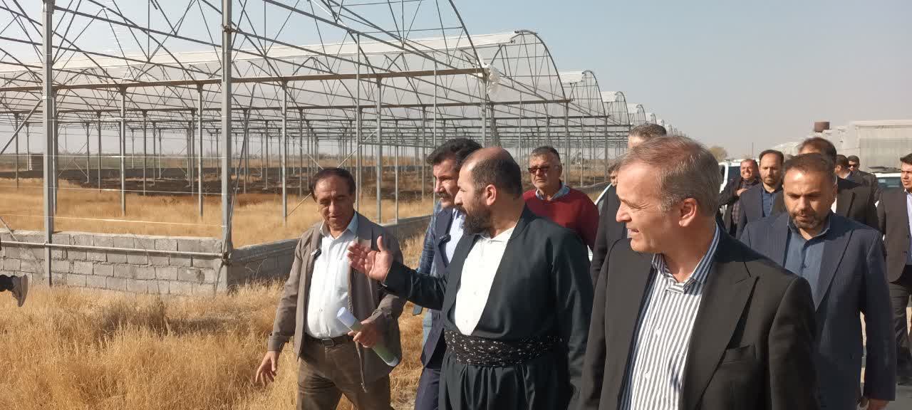 بازدید از شهرک گلخانهای خلیفهلو و تأکید بر بازنگری در فازبندی این مجموعه